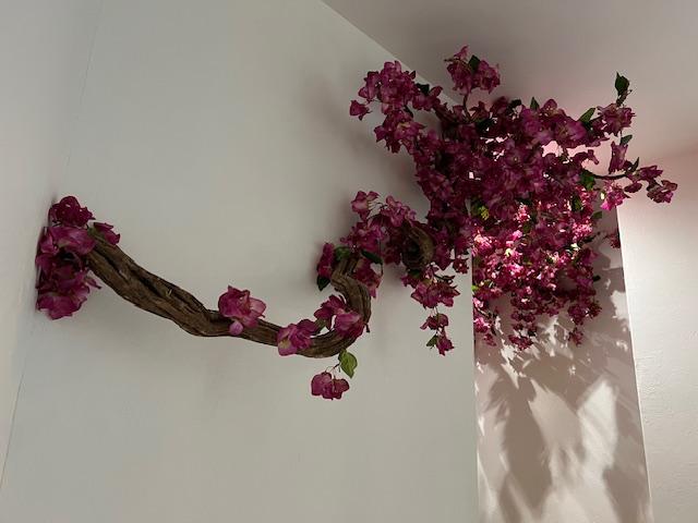 Décor bougainvillier