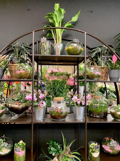 Etagère plantes (1)